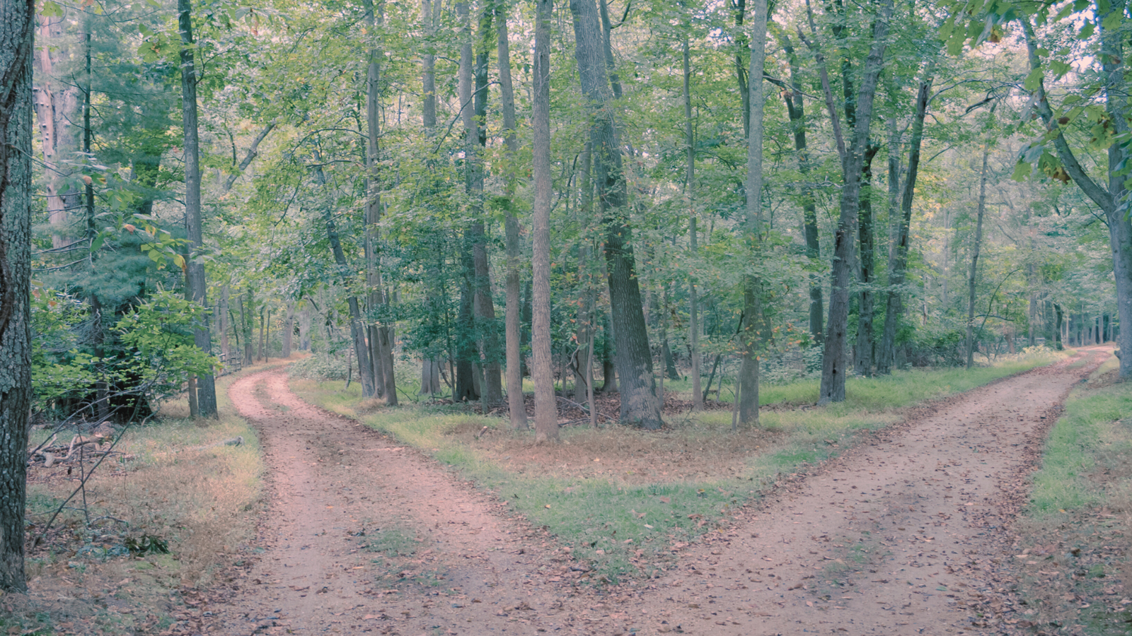 O Fruto do Espírito e a Liberdade Cristã.
