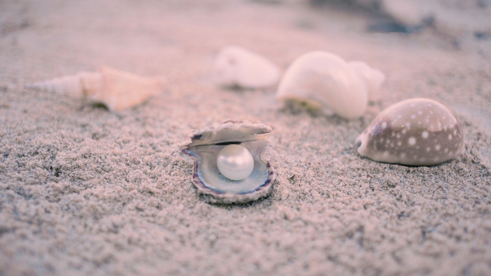 Devocional O Mistério e a Beleza da Pérola
